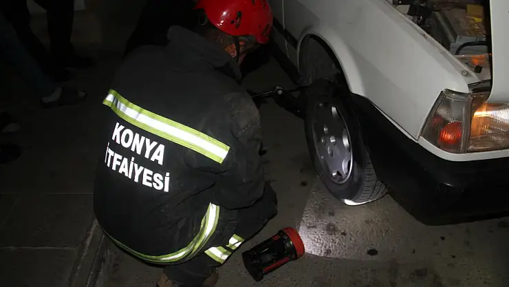Konya'da yılan operasyonu!