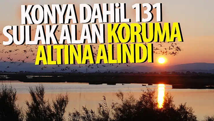 Konya dahil 131 sulak alan koruma altına alındı