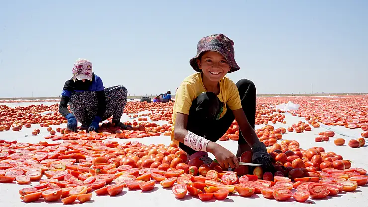 Konya'dan Avrupa'ya lezzet ihracatı: Kalitesiyle fark yaratıyor!