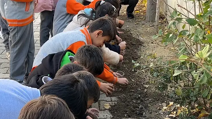 Konya'dan gönderilen ata tohumları Cumhuriyetle yeniden filizleniyor