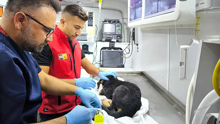 Konya İtfaiyesi'nin bu operasyonu yürekleri ısıttı