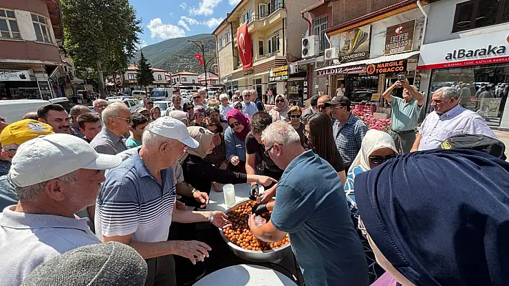 Konya'nın Akşehir ilçesinde şehitler anıldı