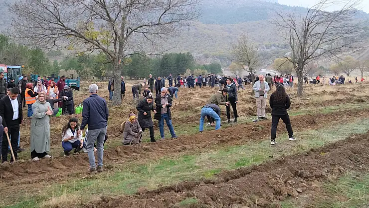 Konya'nın denize uzanan ilçesinde fidanlar toprakla buluştu