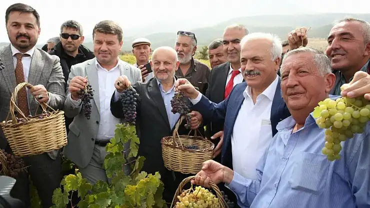 Konya'nın komşu ilinde bağ bozumu ve pekmez festivali yapıldı