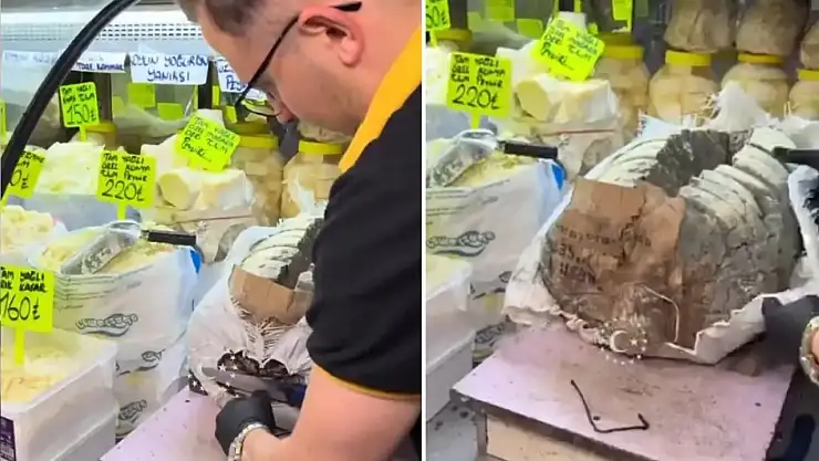 Konya'nın küflü peyniri olay oldu! Binlerce yorum yağdı! Sağlıklı mı? Zararlı mı?