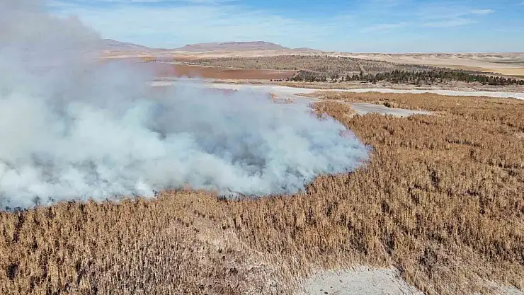 Konya'nın kuş cennetinde yangın alarmı!