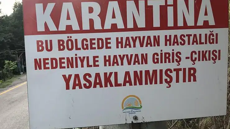 Konya'nın o ilçesinde karantina kararı alındı: Hayvan pazarı kapandı!