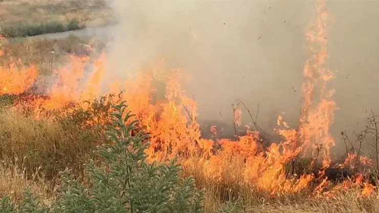 Konya'nın o ilçesinde ot yangını