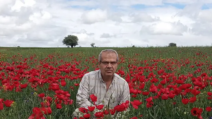 Konya'nın o ilçesinde tarlalar kırmızıya boyandı!