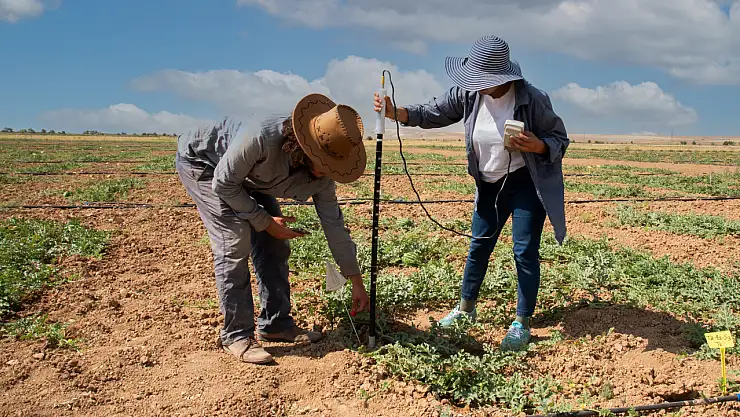 Konya'nın o üniversitesi tasarrufa gidiyor