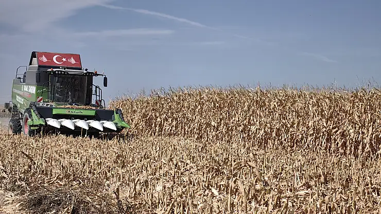 Konya'nın o ürününü de kuraklık vurdu! Uzman isim üzücü haberi duyurdu...