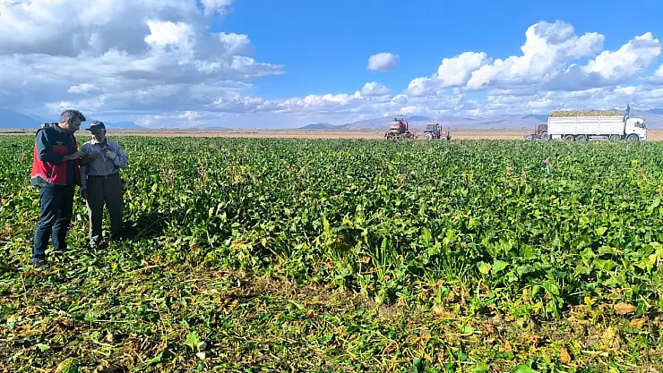 Konya Ovası'nda tarım mesaisi: Yalıhüyük'te hasat biterken toprak hazırlığı başladı