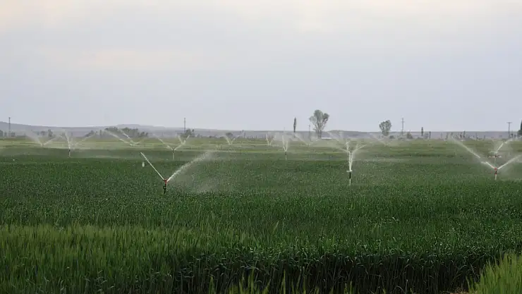 Konya Ovası'nda toprak suya doymadı