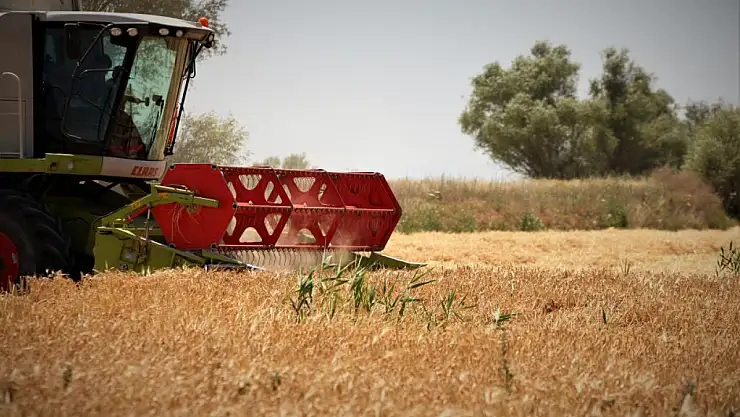 Konya Ovası'nda yağış yetersizliği nedeniyle endişe: Rekolte düşüşü bekleniyor