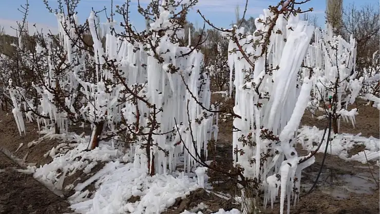 Konya Ovası'nda zirai don tehlikesi