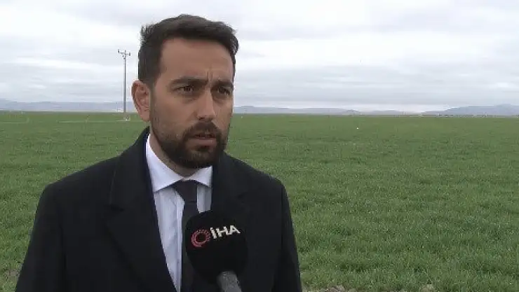 Konya ovasında yağışlarla beraber tahıl beklentisi arttı