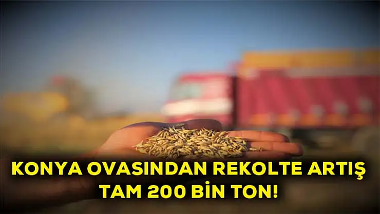 Konya ovasından rekolte artış! Tam 200 bin ton