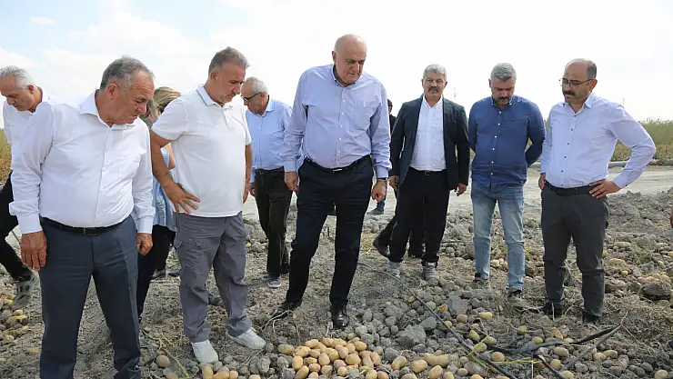 Konya, patates tohumunda dışa bağımlılığı bitirmeye hazırlanıyor: Yerli tohum müjdesi!