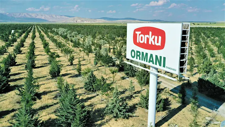 Konya Şeker'den ağaç açıklaması