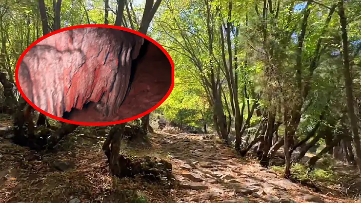 Konya sınırları içinde yer alıyor! Binlerce yıllık mağara ilgi odağı olacak… Turistler adeta akın ediyor