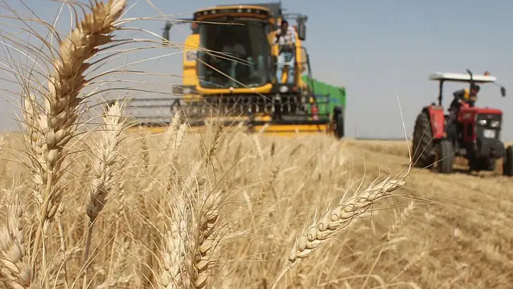 Konya tarımında dev değişiklik! 19 ilçeye 'iki yıl' şartı geldi...