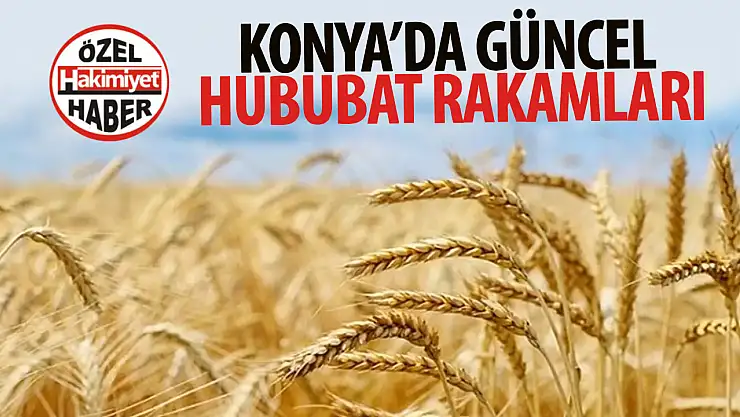 Konya Ticaret Borsası'nda Güncel Hububat Fiyatları
