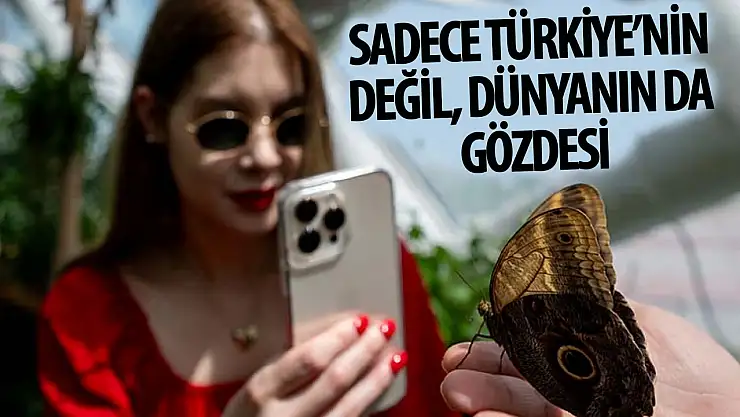 Konya Tropikal Kelebek Bahçesi sadece Türkiye'nin değil dünyanın da gözdesi!