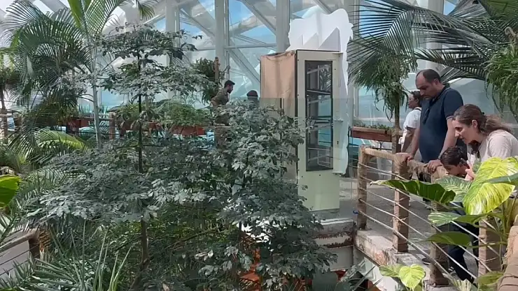 Konya Tropikal Kelebek Bahçesi'nde kelebeklerin renkli dünyasını keşif yeniden başladı!