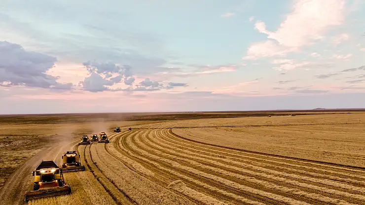 Konya ve Karaman'da teknolojik tarım: Dairesel tarlalarda verim yükseldi!
