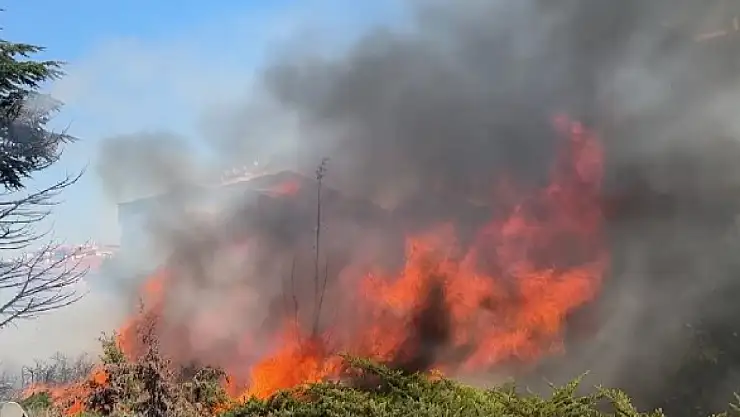Konya yolu kenarındaki ağaçlık alanda korkutan yangın!