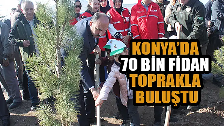 Konya'da 70 bin fidan toprakla buluştu
