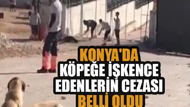 Konya'da köpeğe işkence edenlerin cezası belli oldu