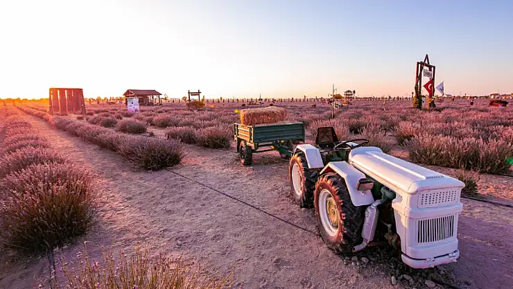 Konyalıların gözde mekanı 28 Haziran'da ziyarete açılıyor!
