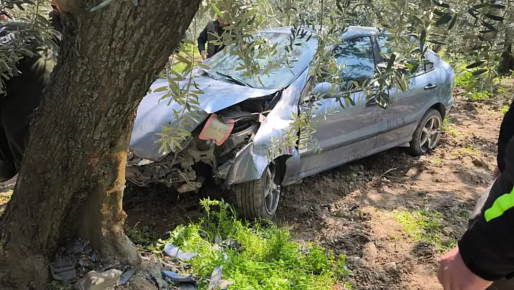 Köpeğe çarpmamak için tarlaya uçtu