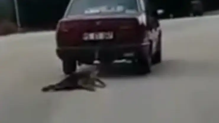 Köpeği aracın ardında sürükleyen şahıs tutuklandı