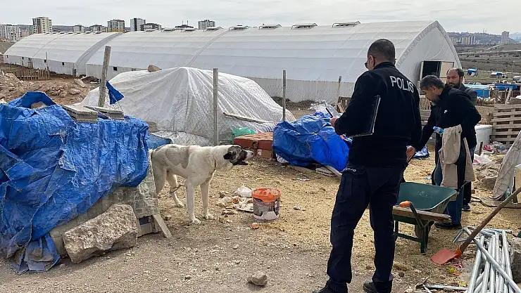 Köpek saldırısına uğrayan çocuk ağır yaralandı