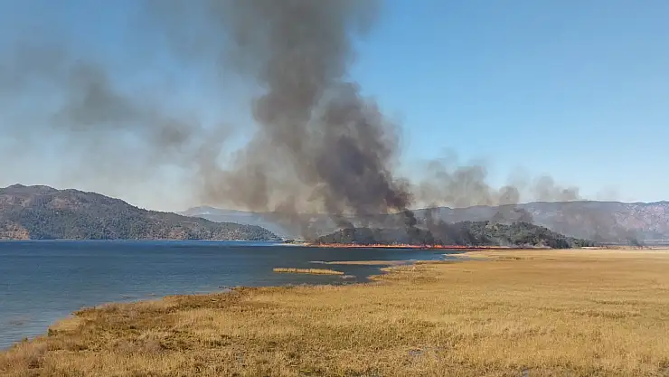 Köyceğiz Gölü'nde yangın başladı!