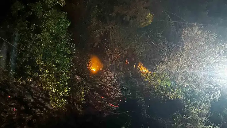 Kozan'da orman yangını çıktı