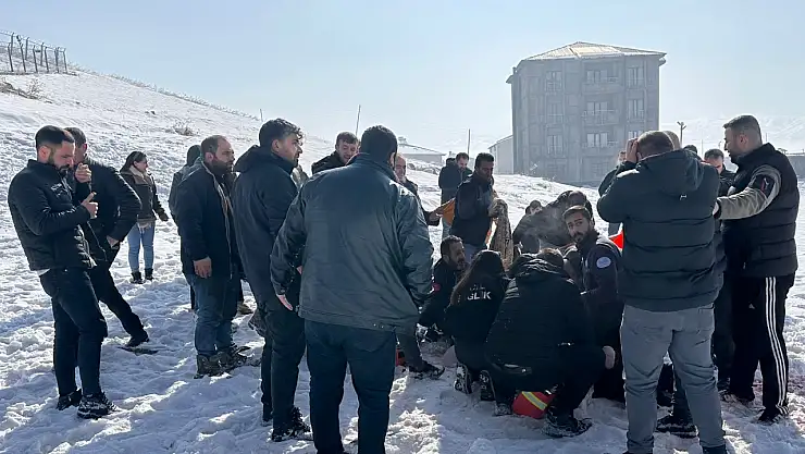 Küçük çocuk sahipsiz köpeklerin saldırısına uğradı