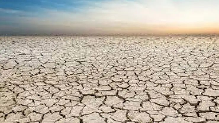 Kuraklık: Çevresel ve insani etkileriyle küresel bir tehdit