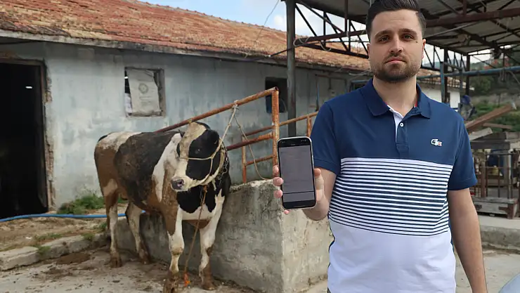 Kurban Bayramı öncesi 'tosun ticareti' 200 bin TL'lik kabusa dönüştü