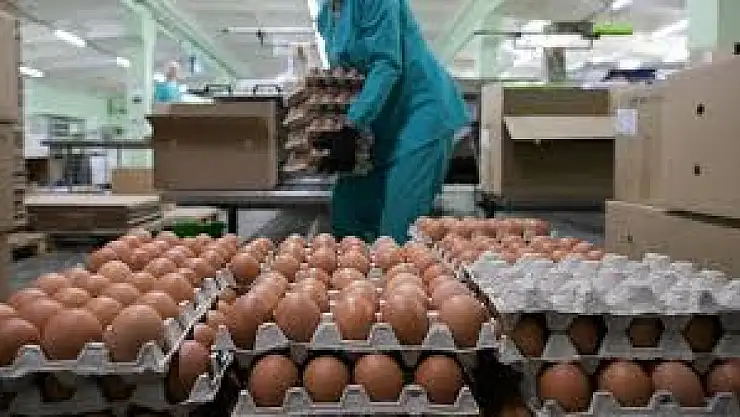 Kurban Bayramı Öncesi Yumurta Fiyatlarında Büyük Düşüş: Yüzde 50 İndirim Tüketiciyi Sevindirdi!