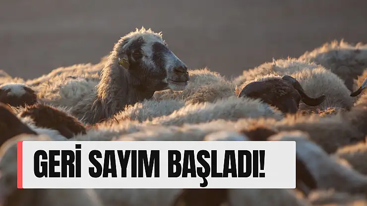 Kurban Bayramına kaç gün kaldı, ayın kaçında? Kurban Bayramı tatil takvimi belli oldu mu?