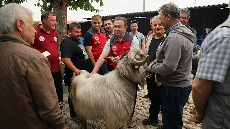 Kurban pazarlarında sağlık ve hijyen kontrolü yapıldı
