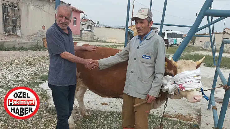 Kurban satıcıları ön sipariş almaya başladı!