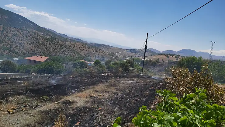 Kuru otlar aniden yandı: İtfaiye müdahale etti!