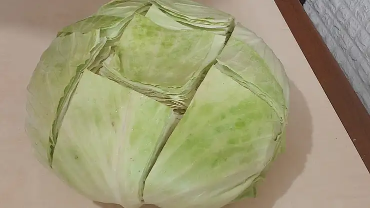 Lahana kokusu nasıl giderilir? Tek malzeme yetiyor, lahananın kötü kokusu yok oluyor