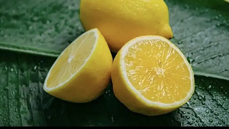 Limon deyip geçmeyin! İlk defa duyacağınız altın değerinde bilgiler!