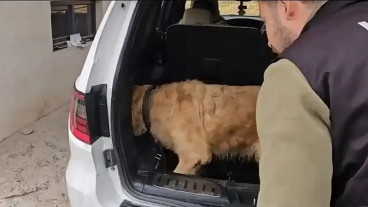 Lüks otomobilde şoke eden zula