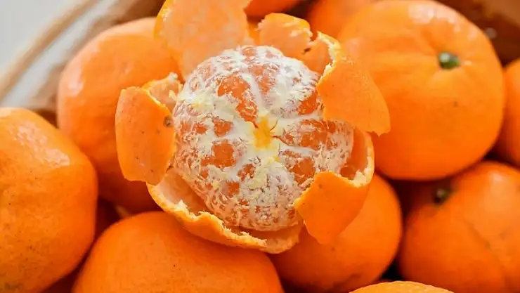 Mandalina kabuğunun inanılmaz faydaları